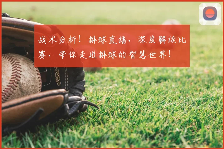 战术分析！排球直播，深度解读比赛，带你走进排球的智慧世界！